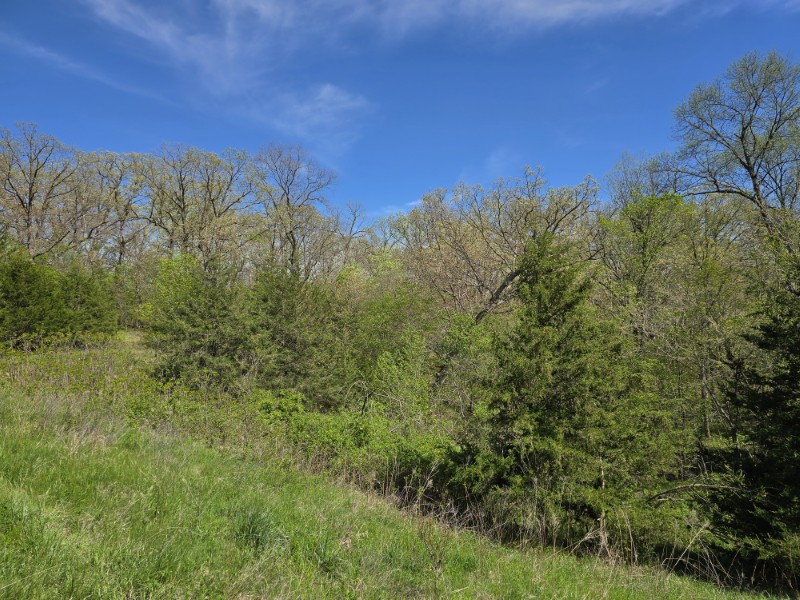 Listing photo 53
